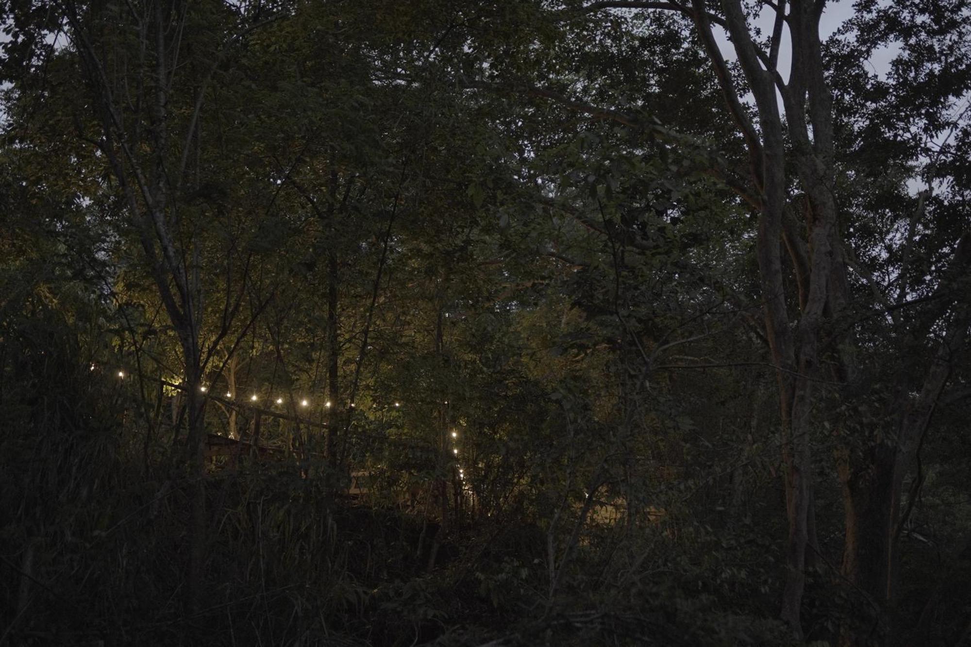 River Glamping By Gaga Bees 우다왈라웨 외부 사진