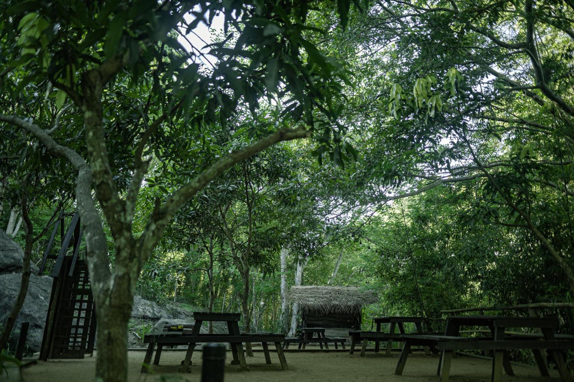 River Glamping By Gaga Bees 우다왈라웨 외부 사진