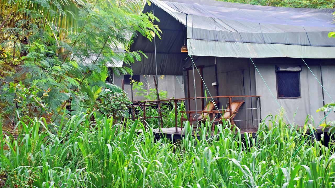 River Glamping By Gaga Bees 우다왈라웨 외부 사진